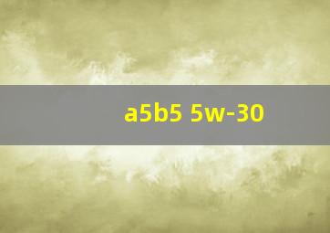 a5b5 5w-30